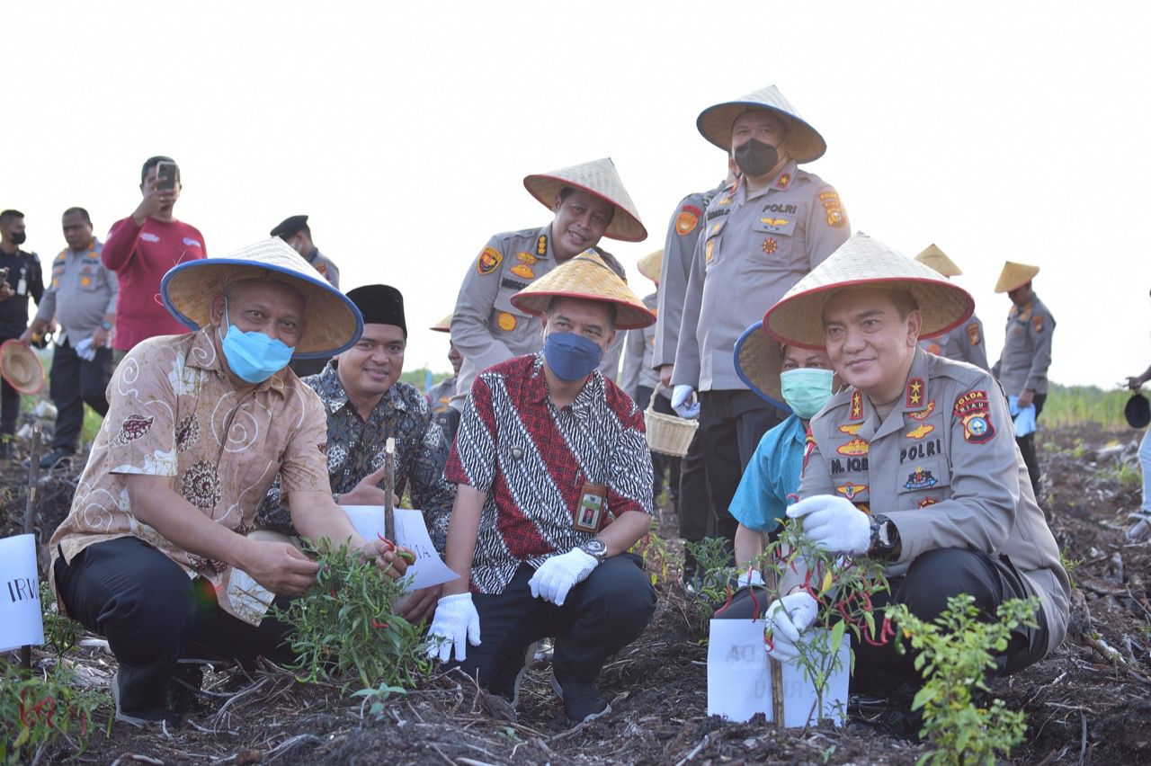 Foto Kapolda Riau dalam panen perdana Tanaman Hortikultura