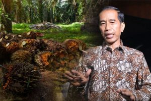 Foto Presiden Ir Joko Widodo