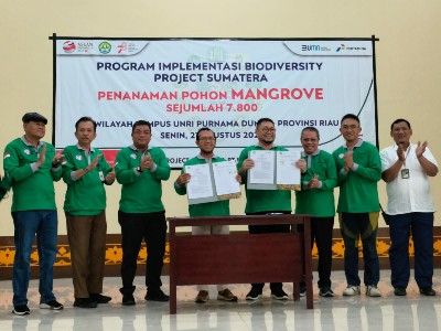 Foto Peserta dari Refinery Development Master Plan (RDMP) Kilang Pertamina Dumai yang ikut aksi penanaman 7800 Mangrove.