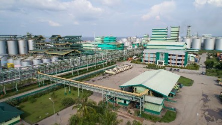 Foto : Kawasan Pabrik Apical Kota Dumai.