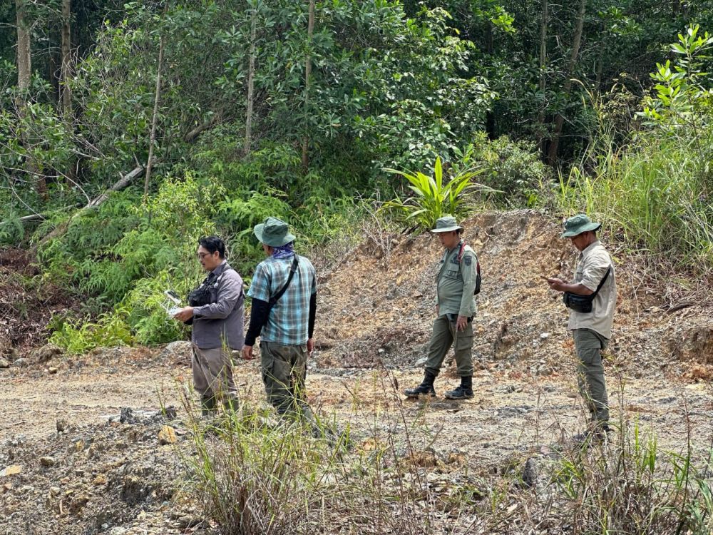Foto : Petugas saat patroli di lokasi Hutan lindung yang dijual.