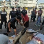 Foto : Ketua PAC Pemuda Pancasila Dumai Kota Asnur Memori bersama pengurus menyaksikan penyembelihan hewan qurban pada Idul Adha 1446 H