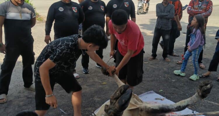 Foto : Ketua PAC Pemuda Pancasila Dumai Kota Asnur Memori bersama pengurus menyaksikan penyembelihan hewan qurban pada Idul Adha 1446 H