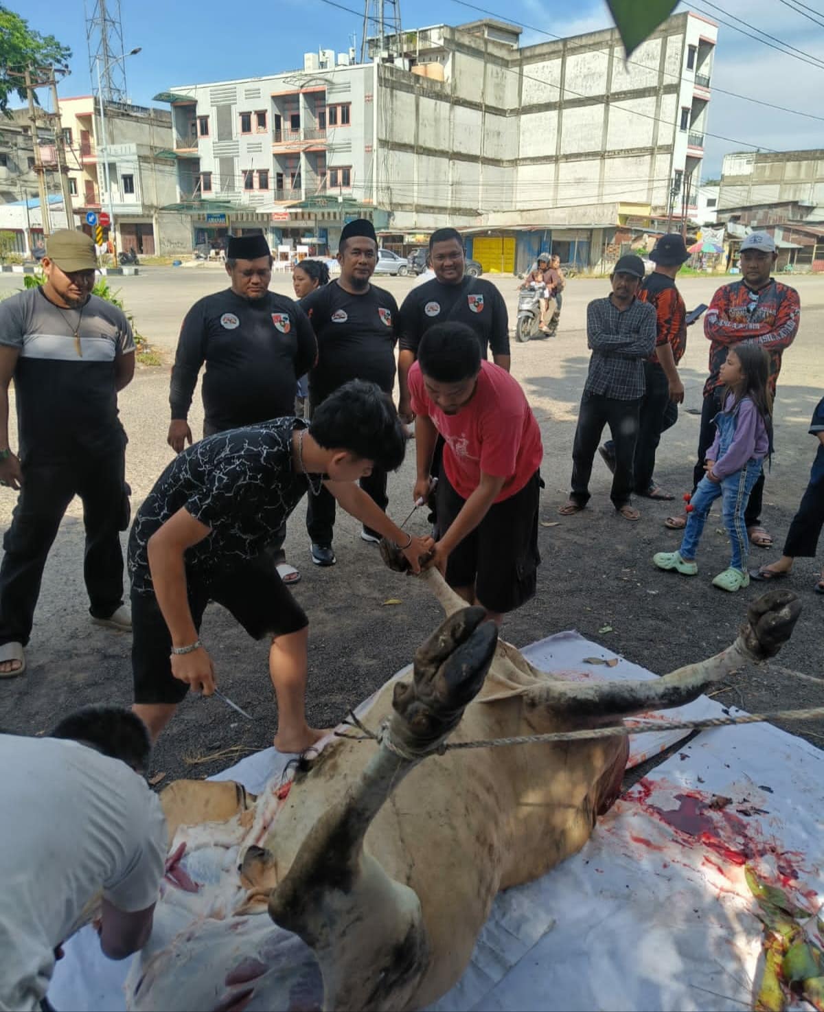 Foto : Ketua PAC Pemuda Pancasila Dumai Kota Asnur Memori bersama pengurus menyaksikan penyembelihan hewan qurban pada Idul Adha 1446 H