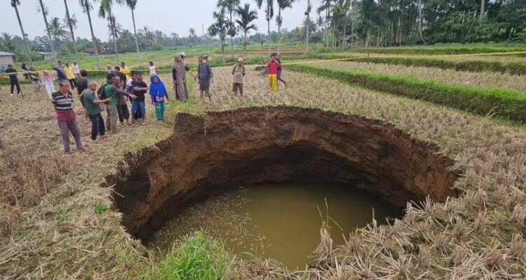 IMG_20260104_131335_800_x_450_piksel_11zon Foto : Lubang besar akibat amblasan tanah (sinkhole) muncul di area persawahan Pombatan, Jorong Tepi, Nagari Situjuah Batua, Kabupaten Limapuluh Kota, Sumatera Barat.